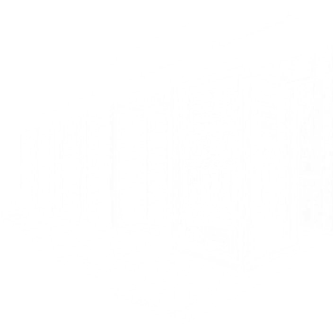 Diagram of an on-premises server room with the GPU machines that serve the AI models
