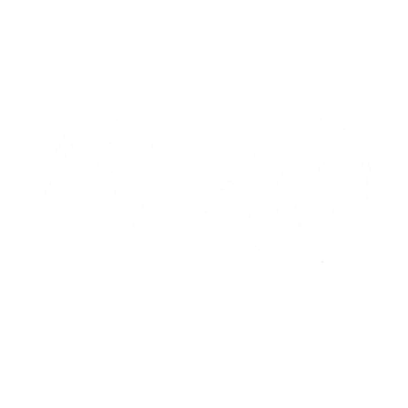 Diagram of The New Rules - the survival manual for developers in the age of AI