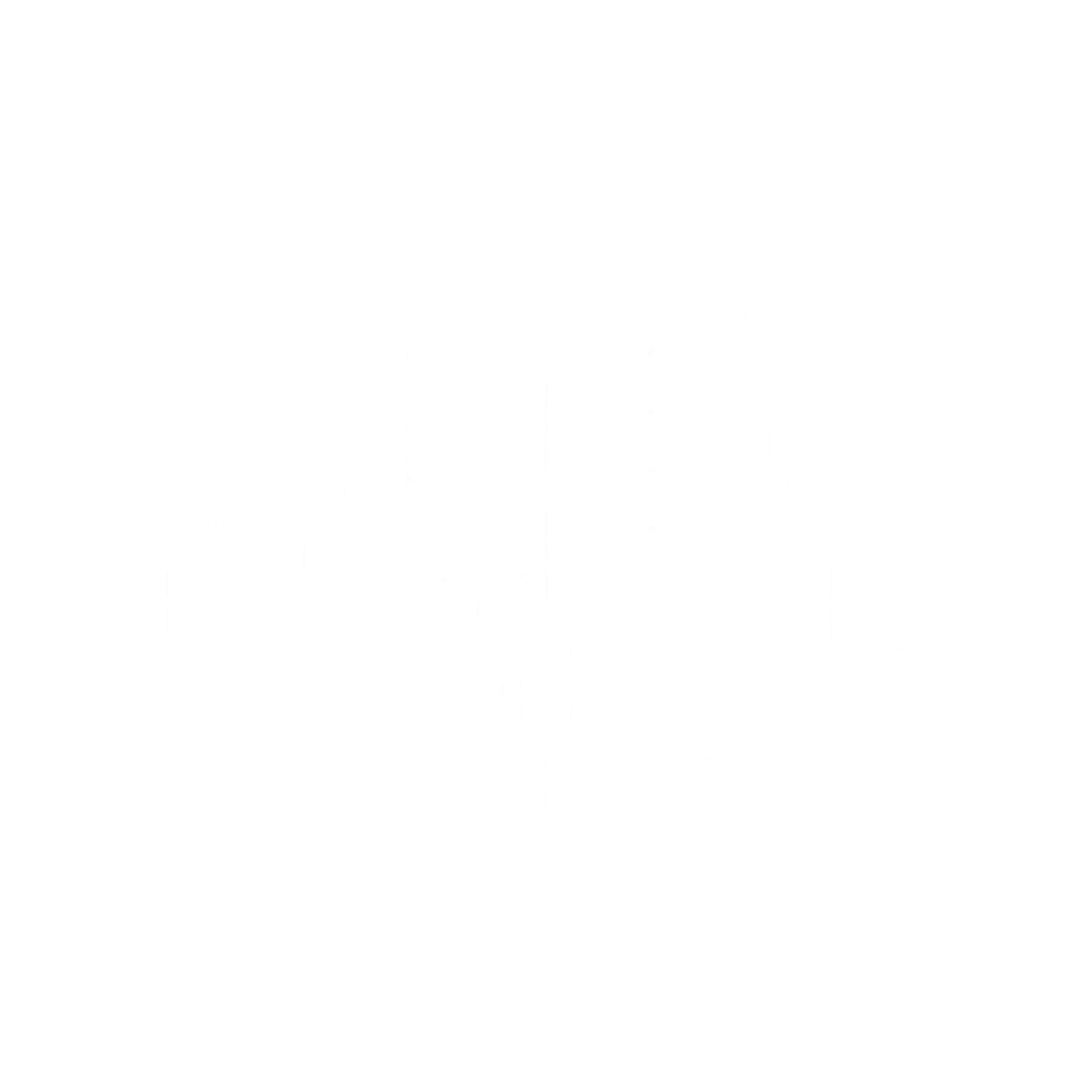 Diagram of the on-premises AI server infrastructure our systems are built and run on